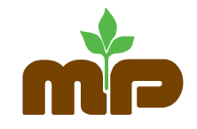 The Merchants & Planters Bank